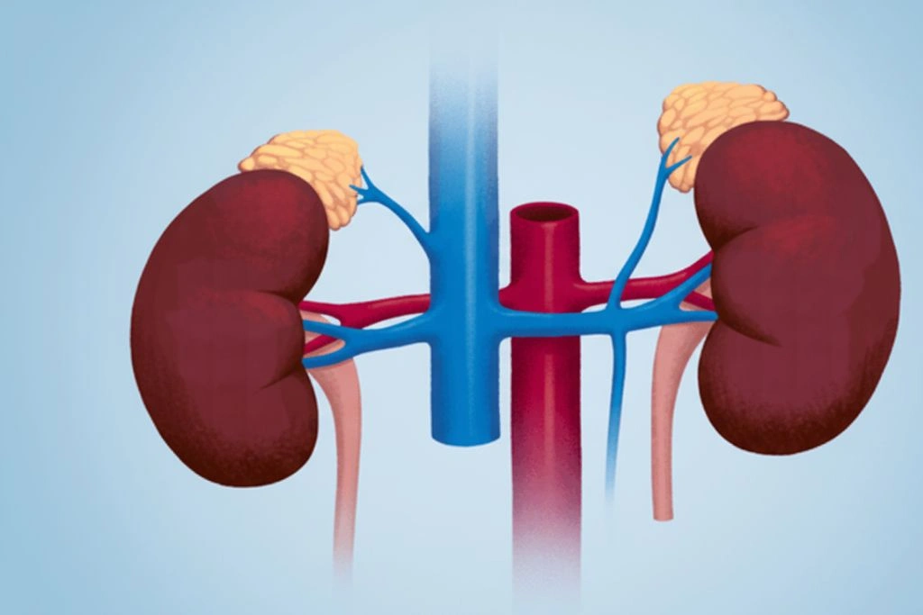 Modern Healthcare Facility